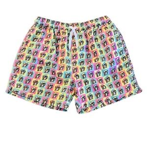 BUC-EE’S MENS COLORFUL LINED SWIM TRUNKS SIZE 2XL LIKE NEW CONDITION